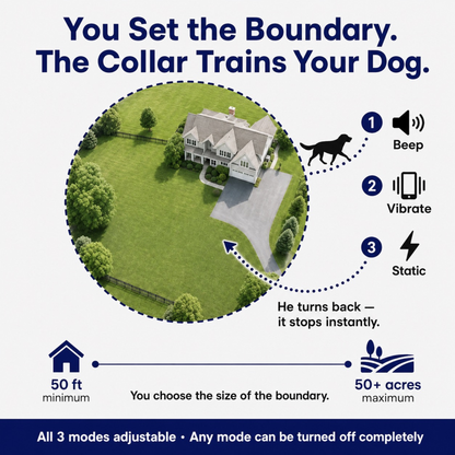 GPS Wireless Dog Fence