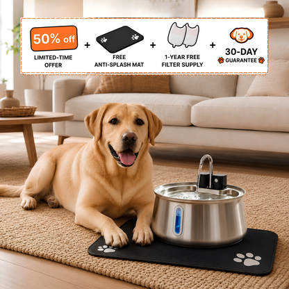 The Pup Fountain™ Value Bundle