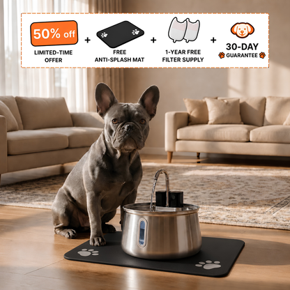 The Pup Fountain™ Value Bundle