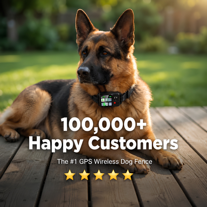 GPS Wireless Dog Fence