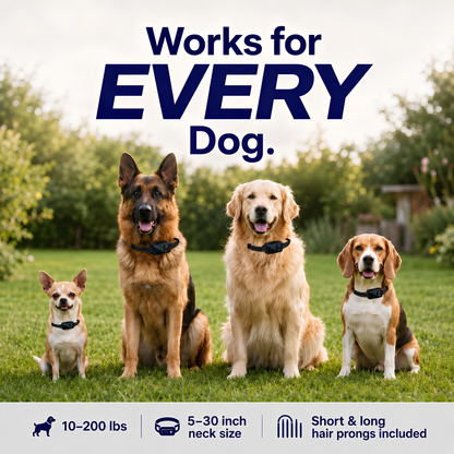 GPS Wireless Dog Fence