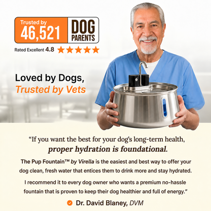 The Pup Fountain™ Value Bundle